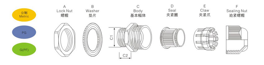 今晚正版四不像图