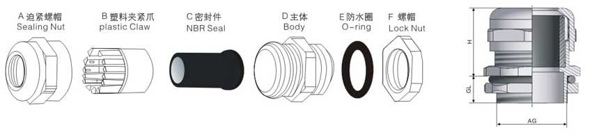今晚正版四不像图
