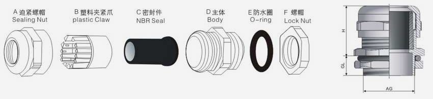 今晚正版四不像图